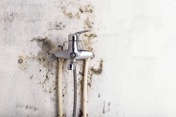 Best Water Damage Restoration  in Murray, UT