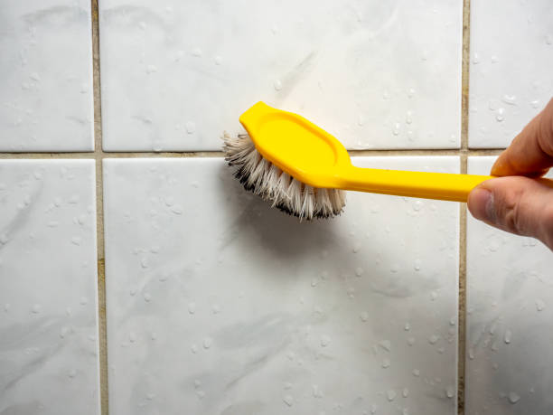 Best Mold Removal Company Near Me  in Murray, UT