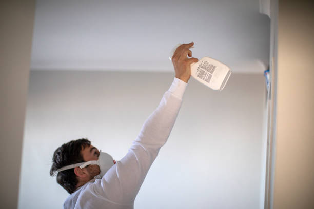 Mold Removal Process in Murray, UT